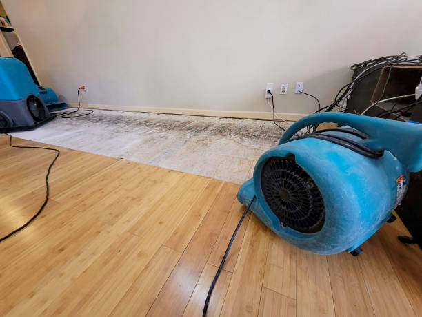 Professional Water Damage Repair technician working in Forest, VA